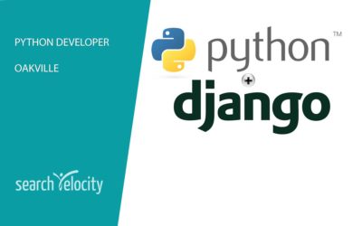 Python Developer