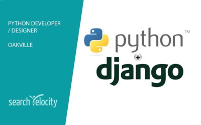 Python / Django Full-Stack Developer & Designer